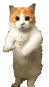 Neko Mascot